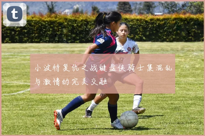 小波特复仇之战键盘侠骑士集混乱与激情的完美交融